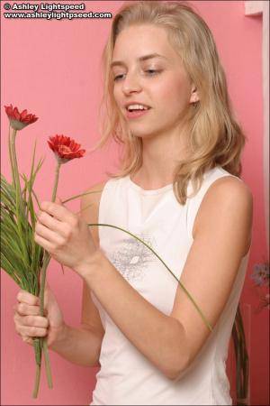 Original 684 px/ 1026 px