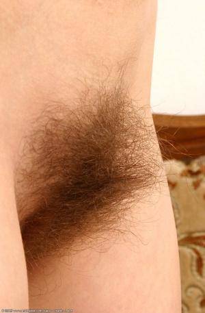 Original 672 px/ 1024 px