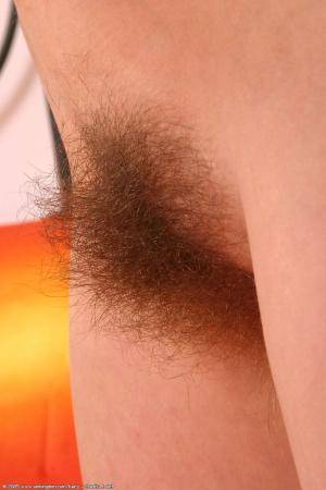 Original 682 px/ 1024 px