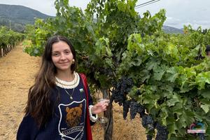 Original 3000 px/ 2000 px