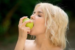 Original 4000 px/ 2671 px