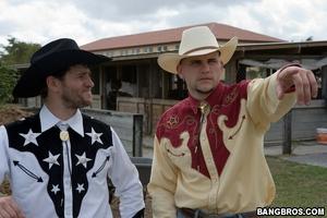 Original 800 px/ 533 px