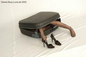 Original 800 px/ 531 px