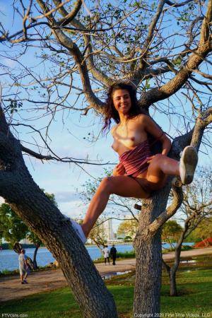 Original 852 px/ 1280 px