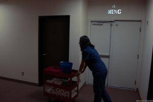 Original 2491 px/ 1663 px