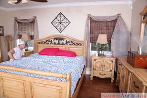 Original 2500 px/ 1666 px