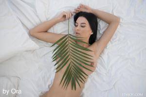 Original 5000 px/ 3334 px