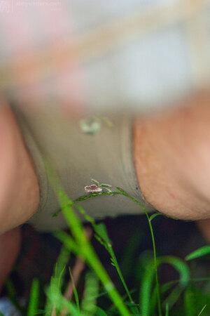 Original 2592 px/ 3888 px