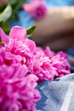 Original 4480 px/ 6720 px