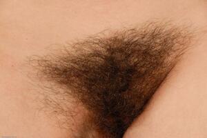 Original 1024 px/ 682 px