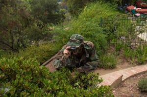 Original 2499 px/ 1663 px