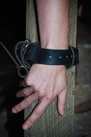 Original 797 px/ 1200 px