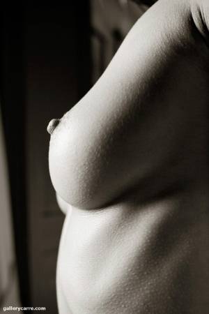 Original 682 px/ 1024 px