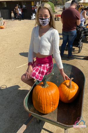 Original 2000 px/ 3000 px