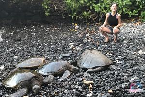 Original 3000 px/ 2000 px