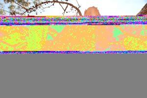 Original 3000 px/ 2000 px