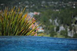 Original 2495 px/ 1663 px