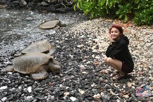 Original 3000 px/ 2000 px