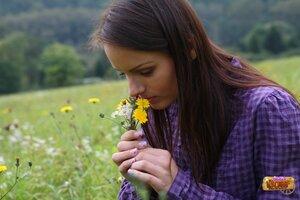 Original 2464 px/ 1643 px