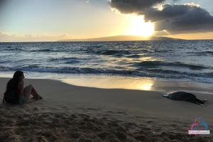 Original 3000 px/ 2000 px