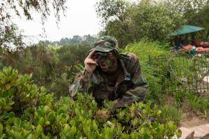 Original 2499 px/ 1663 px