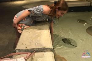 Original 3000 px/ 2000 px