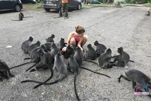 Original 3000 px/ 2000 px