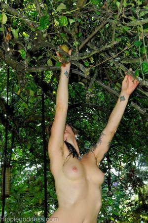 Original 850 px/ 1280 px