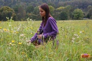 Original 2464 px/ 1643 px