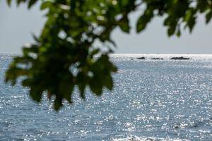 Original 5760 px/ 3840 px