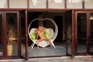 Original 6000 px/ 4000 px