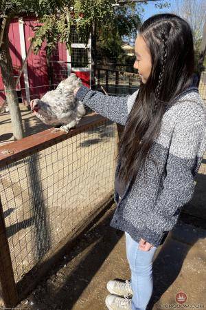 Original 2000 px/ 3000 px