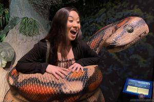 Original 3000 px/ 2000 px