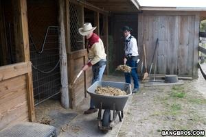 Original 800 px/ 533 px