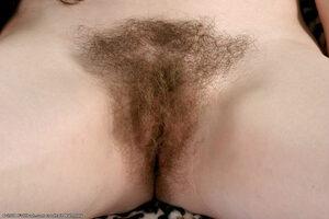 Original 1024 px/ 683 px