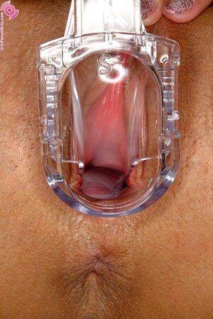 Original 1333 px/ 2000 px