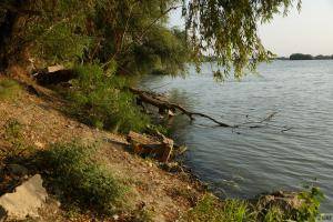 Original 1920 px/ 1280 px