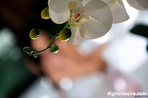 Original 3000 px/ 2000 px