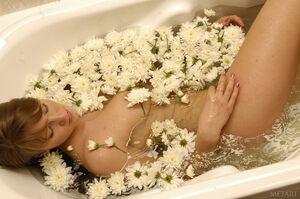 Original 2500 px/ 1662 px