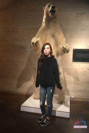 Original 2000 px/ 3000 px