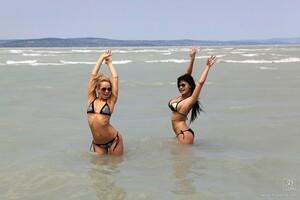 Original 1280 px/ 853 px