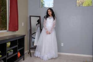 Original 2491 px/ 1663 px