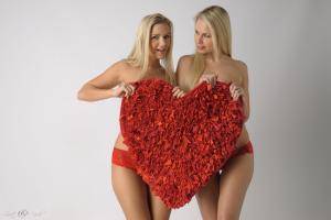 Original 3000 px/ 2009 px