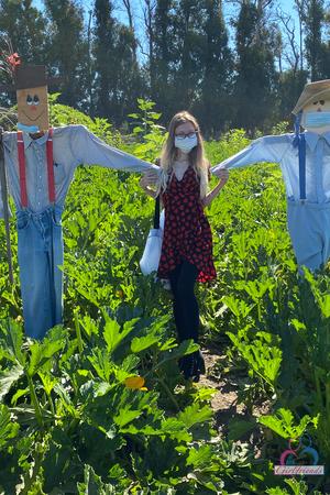 Original 2000 px/ 3000 px