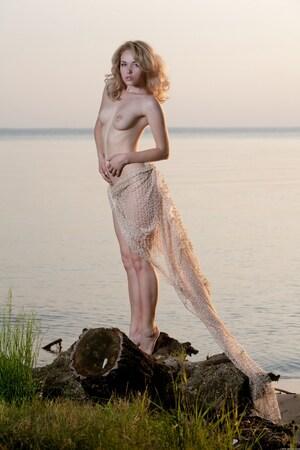 Original 1365 px/ 2048 px