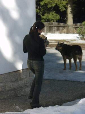 Original 1200 px/ 1600 px