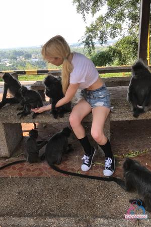 Original 2000 px/ 3000 px