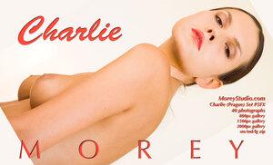 Original 3000 px/ 1823 px