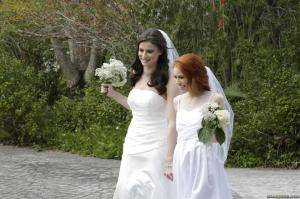 Original 2495 px/ 1663 px