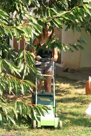 #ATKPremium Tiffany Diamond (and008) Set 103428